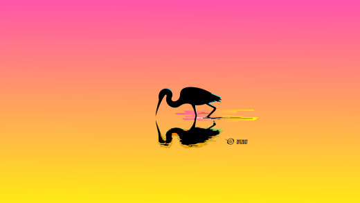 1127790 (a): :2000x1125